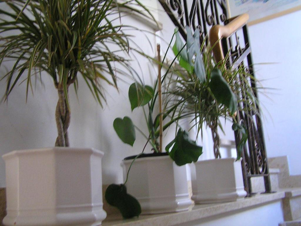 Apartments Paloma Blanca Medulin Room photo